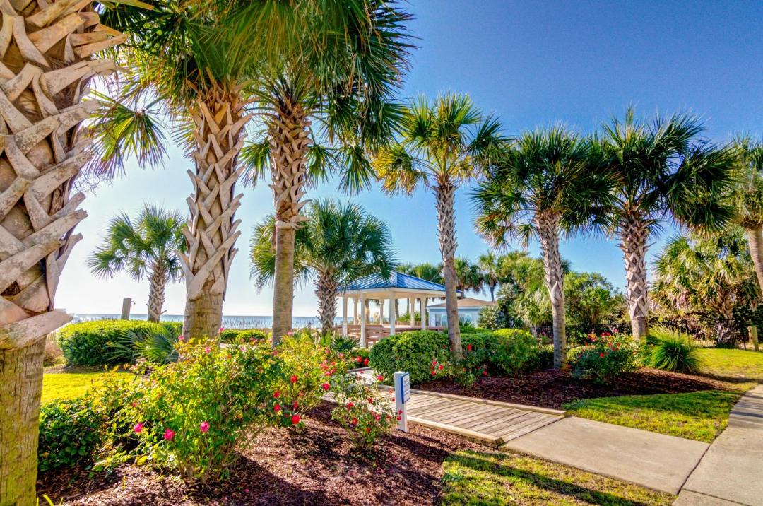 Photo of Others in Myrtle Beach