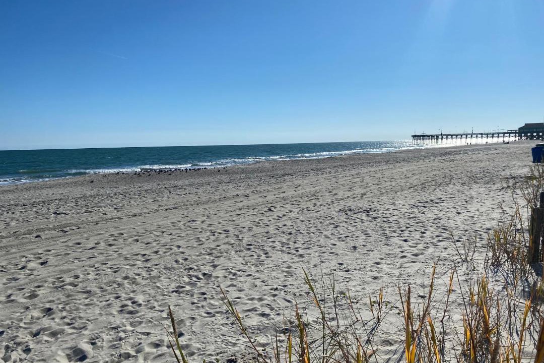 Photo of Others in Myrtle Beach