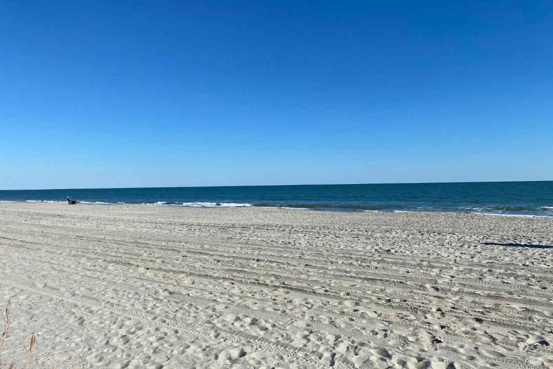 Photo of Others in Myrtle Beach