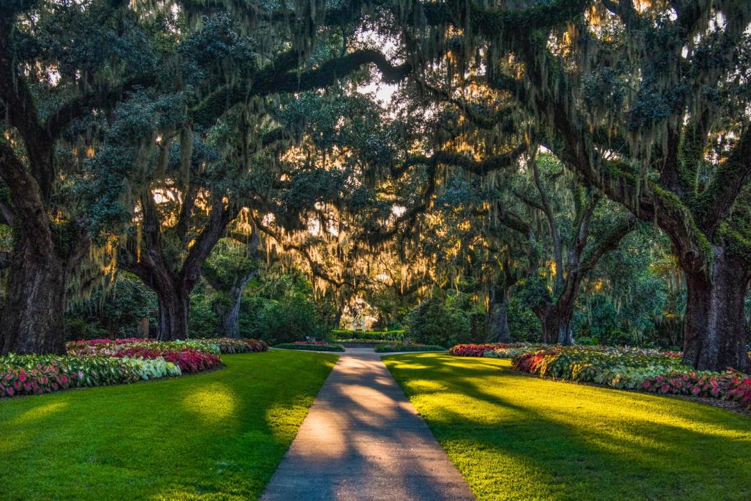 Photo of Outdoor in Myrtle Beach