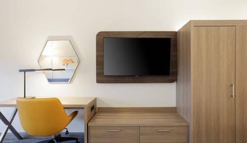 Suite, 1 King Bed with Sofa bed