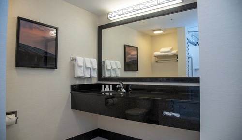 Room, 1 King Bed, Roll-in Shower