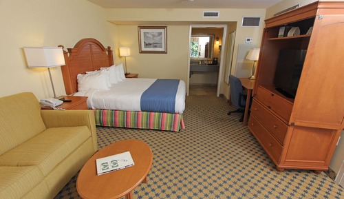 Standard Room, 1 King Bed with Sofa bed