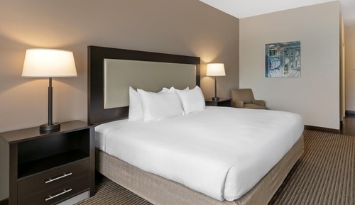 Standard Room, 1 King Bed, Non Smoking