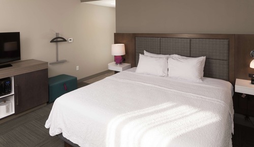Room, 1 King Bed, Refrigerator