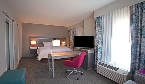 Studio, 1 King Bed, Refrigerator (with Sofa)