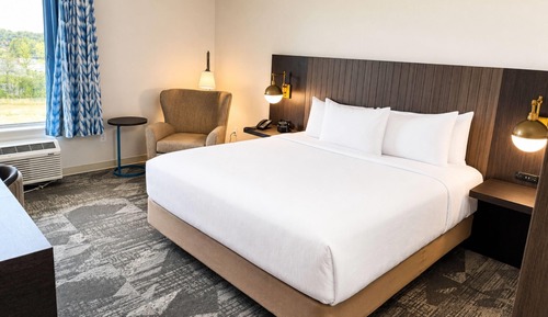 Room, 1 King Bed, Mobility Accessible, Non Smoking (Roll-in Shower)