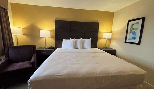 Standard Suite, 1 King Bed, Non Smoking