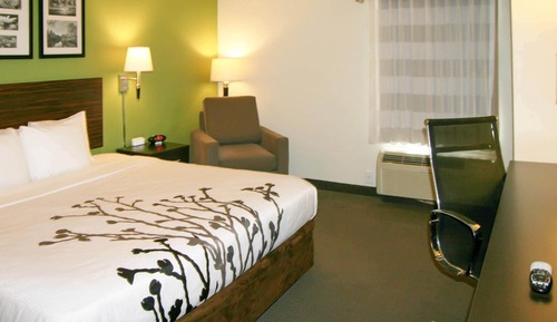 Standard Room, 1 King Bed, Accessible, Non Smoking