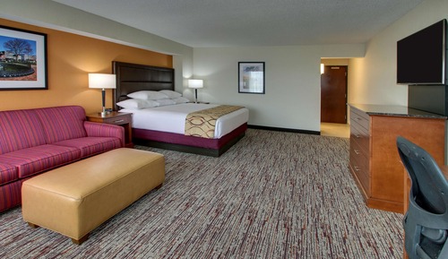 Room, 1 King Bed with Sofa bed (Sofa Sleeper)