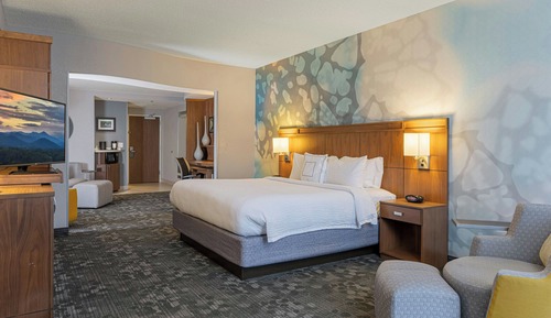 Suite, 1 King Bed with Sofa bed