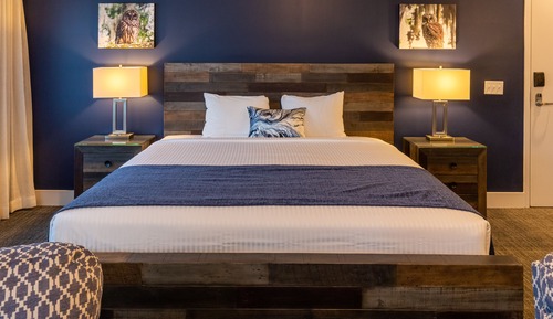 Executive Single Room, 1 King Bed