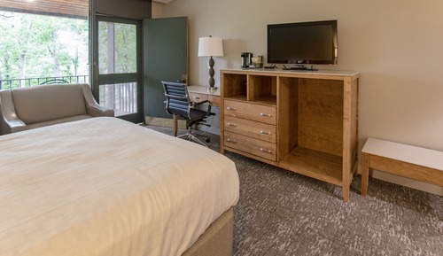 Room, 1 Queen Bed with Sofa bed