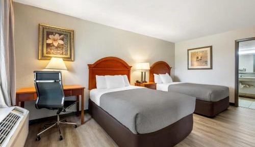 Double Room with Two Double Beds and Roll-In Shower - Accessible/Non-Smoking