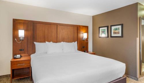 King Room - Non-Smoking/Pet Friendly