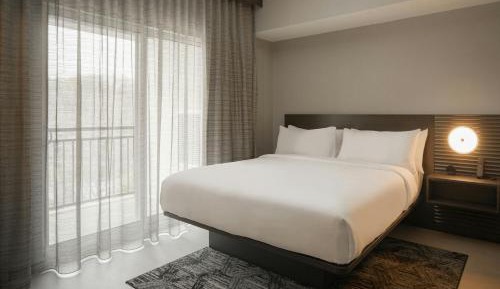 One-Bedroom King Suite with Sofa Bed