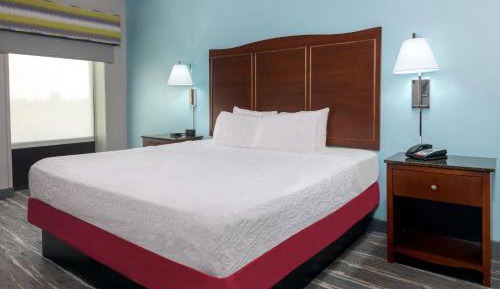 King Studio Suite with Sofa Bed