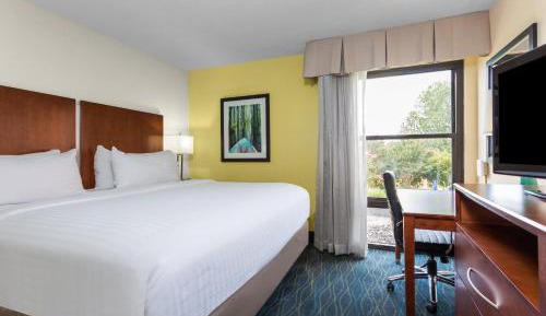 One-Bedroom King Suite with Sofa Bed