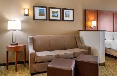 Elkhart Hotel | Comfort Suites Elkhart North