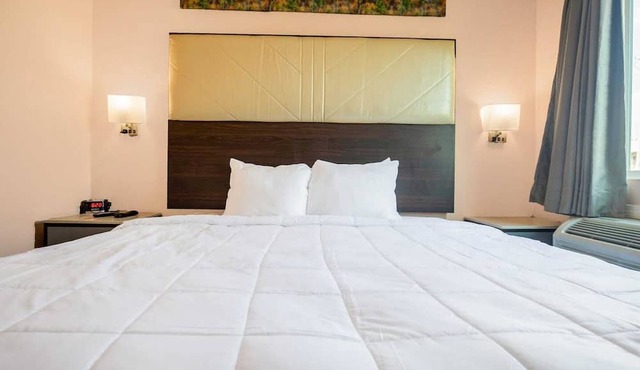 Suite - King Bed Non - Smoking